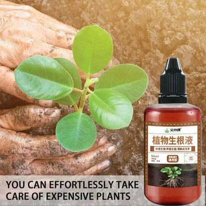 1Pcs Fast Rooting Stimulator Plant Rapid Rooting Agent Root Stimulator for Plants Root Supplement for Houseplant Garden Supplies
